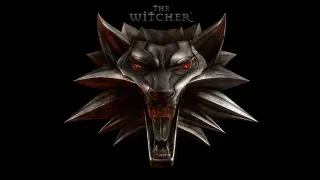 The Witcher meme card, rare rarity