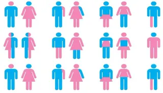 There Are More Than Two Genders Infographic meme card, common rarity