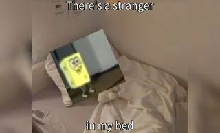There's a Stranger In My Bed meme card, common rarity