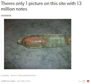 There's Only 1 Picture on This Site With 15 Million Notes meme card, common rarity
