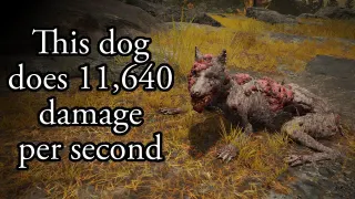 This Dog Does 11,640 Damage per Second meme card, common rarity