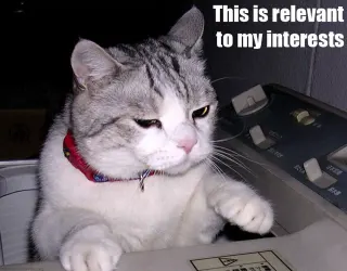 This Is Relevant To My Interests meme card, rare rarity
