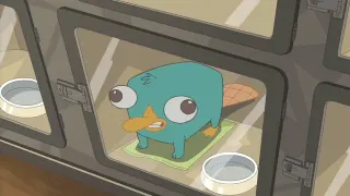 This One's Looking at Both of Us meme card, common rarity