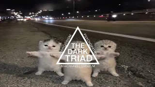 Three Kittens Dancing / The Dark Triad meme card, common rarity