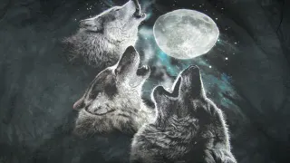 Three Wolf Moon meme card, epic rarity
