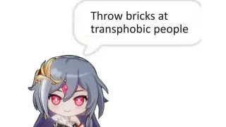 Throw Bricks at Transphobic People meme card, common rarity