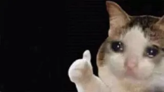 Thumbs Up Crying Cat meme card, epic rarity