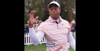 Tiger Woods "Big Dog" meme card, common rarity