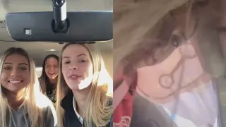 TikTok Car Crash meme card, common rarity