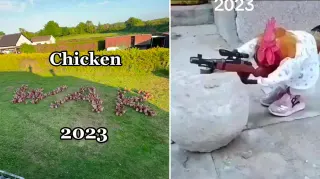 TikTok Chicken Wars of 2023 meme card, common rarity