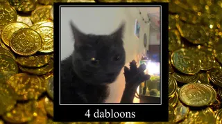 TikTok Dabloons / TikTok Doubloons / 4 Dabloons Cat meme card, common rarity