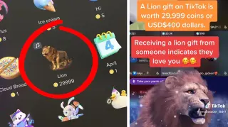 TikTok Lion Gift meme card, common rarity