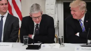 Tim Apple meme card, common rarity