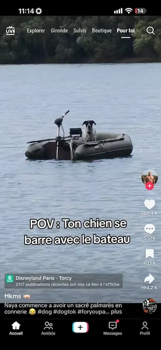 Carta meme Ton chien se barre avec le bateau, rarità rara