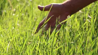Touch Grass meme card, epic rarity