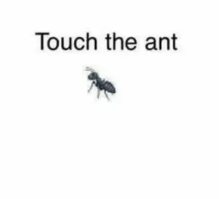 Touch the Ant meme card, common rarity