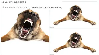 Triple Dog Death Barrage meme card, common rarity