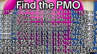Carte meme TS PMO ICL, rareté commune