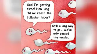 Carte meme Two Sperm Cells Talking, rareté commune