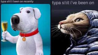 Typa Shit I Been On meme card, common rarity