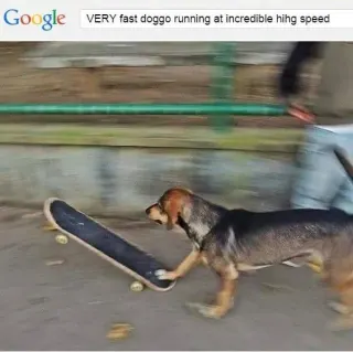 Very Fast Doggo Running at Incredible Hihg Speed meme card, rare rarity