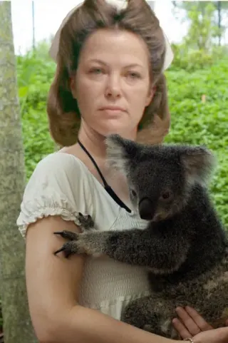 Carte meme Villains Holding Koalas, rareté commune