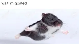 Carte meme Wait I’m Goated, rareté rare