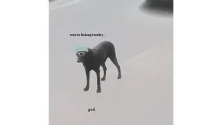 Carte meme Wait Its Fucking Tueaday. God., rareté commune