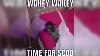 Wakey Wakey it's Time for School meme card, common rarity