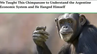 We Taught This Chimpanzee and He Hanged Himself meme card, common rarity