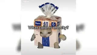 What Color Is The Sky? Ay Mi Amor Cat Meme meme card, common rarity