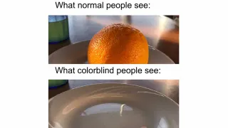 What Colorblind People See meme card, common rarity