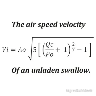 What Is the Airspeed Velocity of an Unladen Swallow? meme card, epic rarity