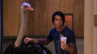 Carte meme « Whatcha Got There? » « A Smoothie », rareté rare