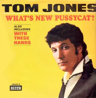 What's New Pussycat? meme card, rare rarity