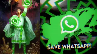 Carte meme WhatsAppborea, rareté commune
