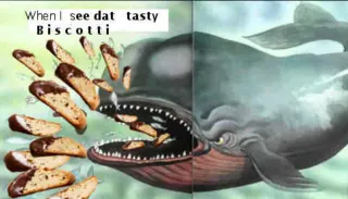 Carte meme When I See Dat Tasty Biscotti / Biscotti Whale, rareté commune