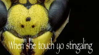 Carte meme When She Touch Yo Dingaling, rareté commune