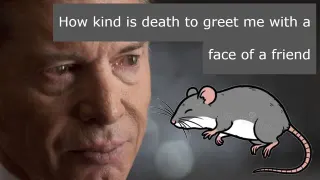 When You Finally Kill the Mouse In the Kitchen meme card, common rarity