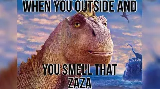 When You Outside And You Smell That Zaza meme card, rare rarity