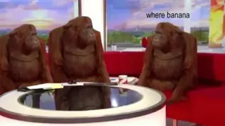 Where Banana meme card, rare rarity