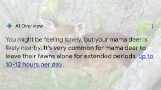 "Where Is Mama?" AI Overviews meme card, common rarity