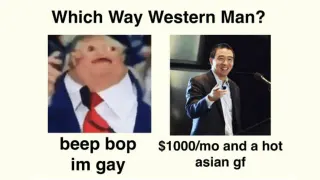Carte meme Which Way, Western Man?, rareté rare