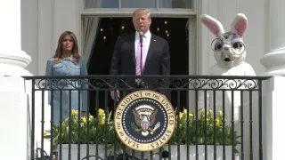 White House Easter Bunny meme card, common rarity