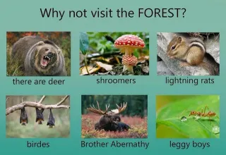 "Why Not Visit?" Edits meme card, rare rarity