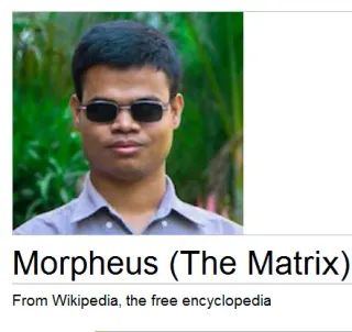 Wikipedia Donation Banner Captions meme card, rare rarity