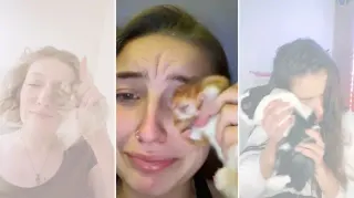Carte meme Wiping Tears With A Hamster, rareté commune