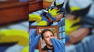 Wolverine Crush meme card, epic rarity