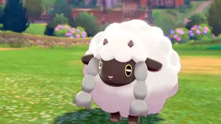 Wooloo meme card, rare rarity