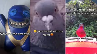 Carte meme Word On The Street Is You Messed With My Gang, rareté commune